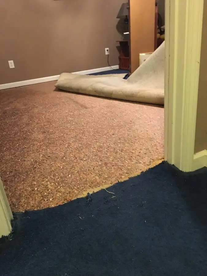 Carpet pad removal revealing water damage during Water Mitigation Services in Beltsville