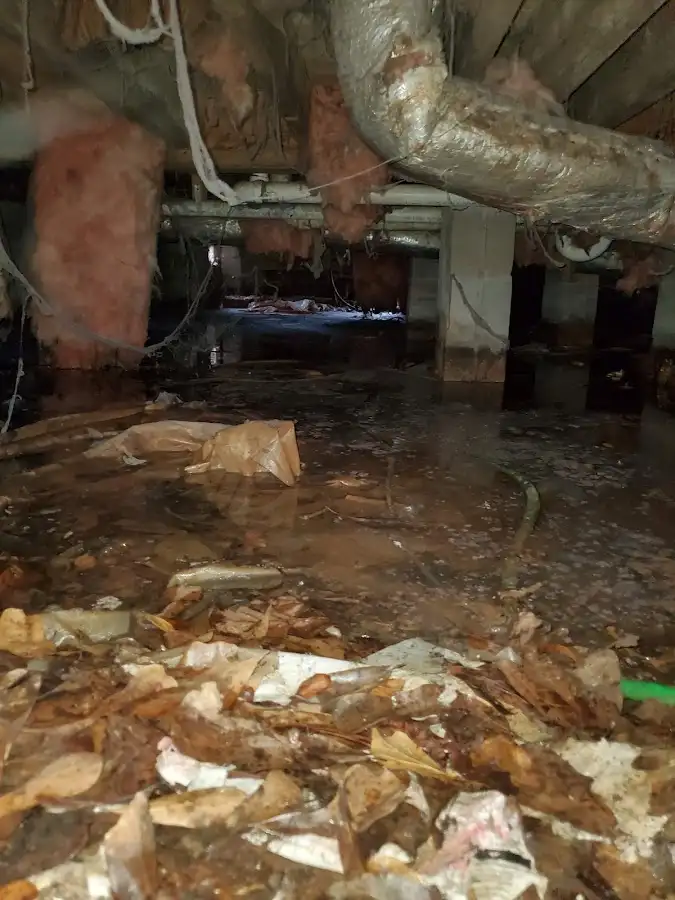 Crawl space flood assessment for Leak Detection & Repair in Beltsville