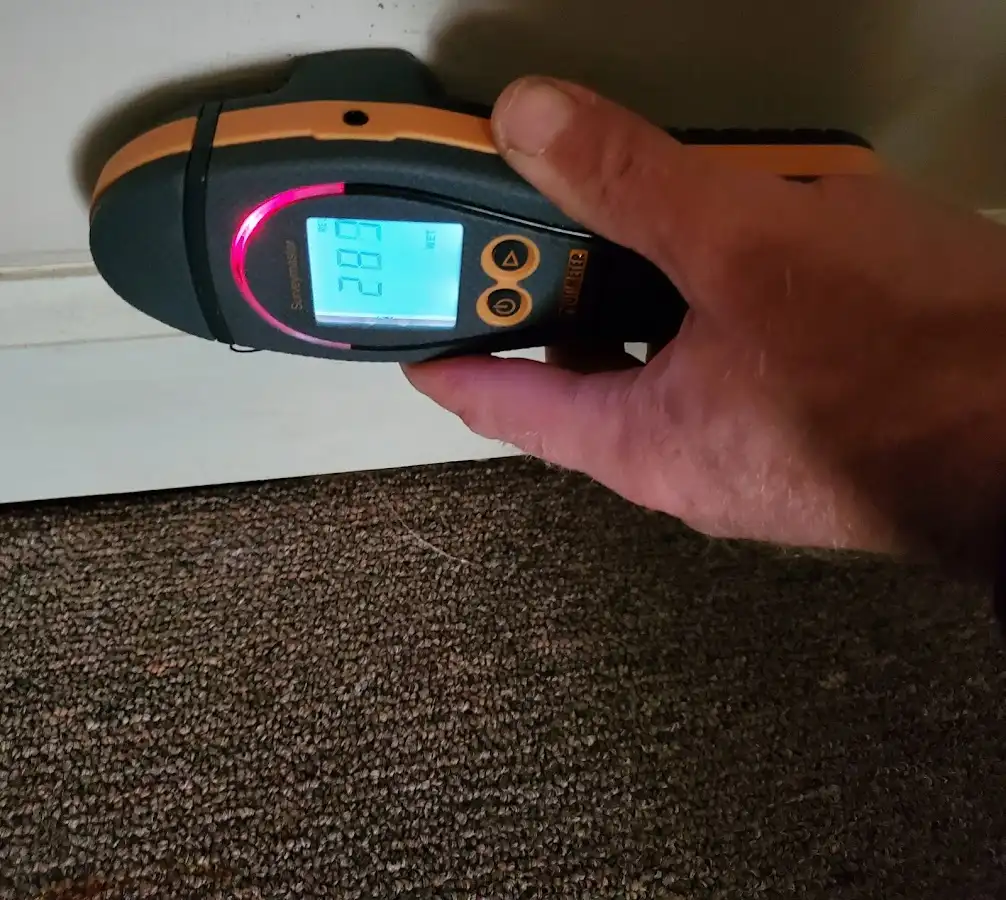 Moisture detection at baseboard during Sewage Cleanup & Sanitation in Beltsville